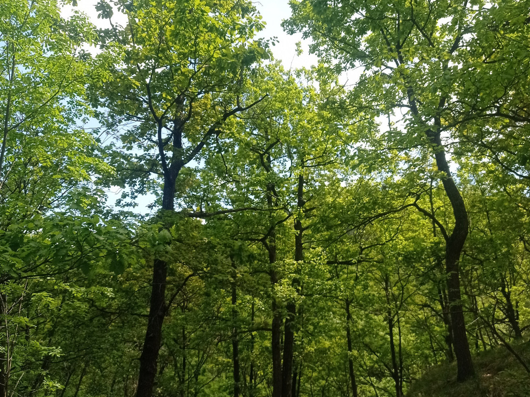 Parco del Beigua-意大利里维埃拉必去景点