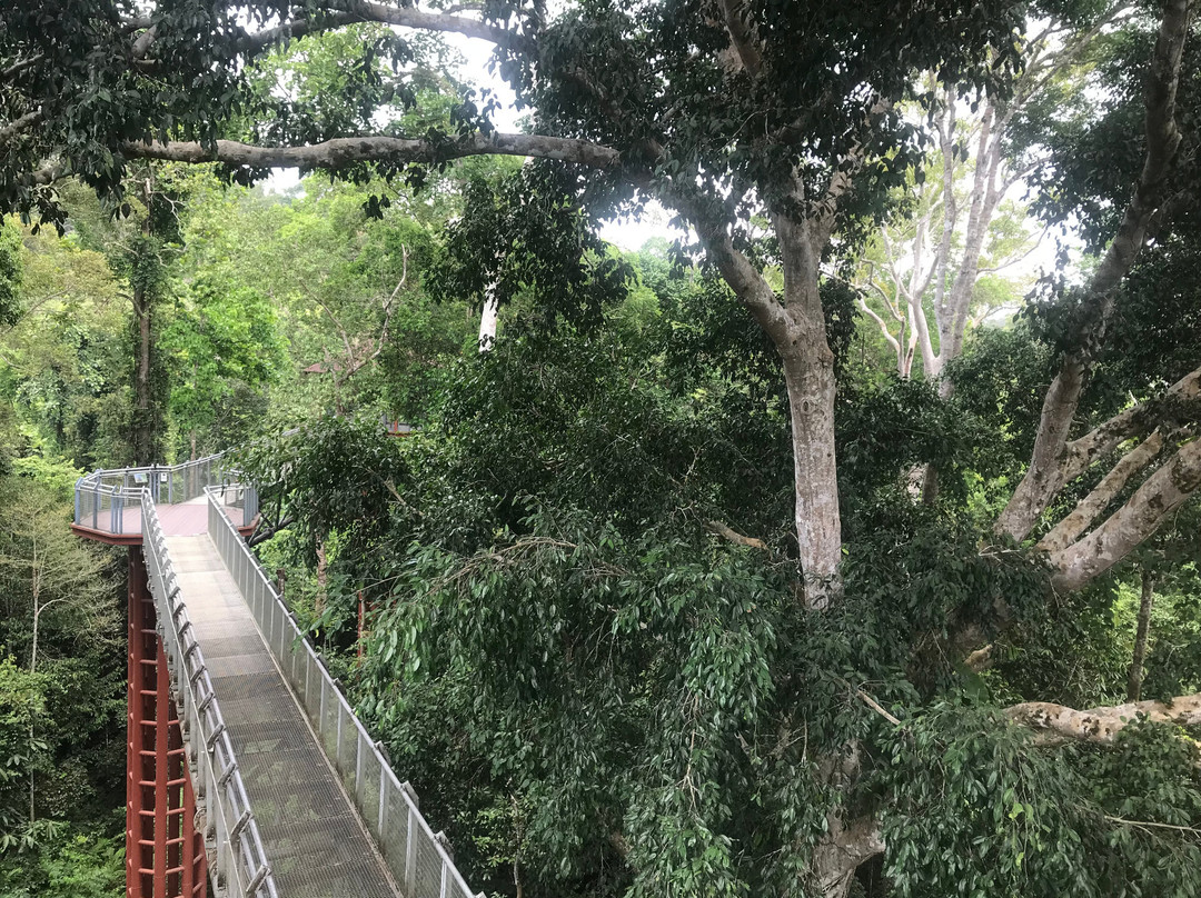 Taman Negara National Park-彭亨必去景点