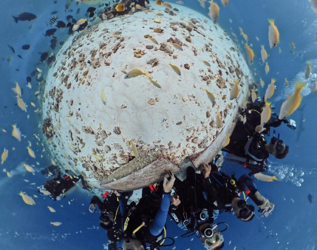 Fuvahmulah Scuba Club主图