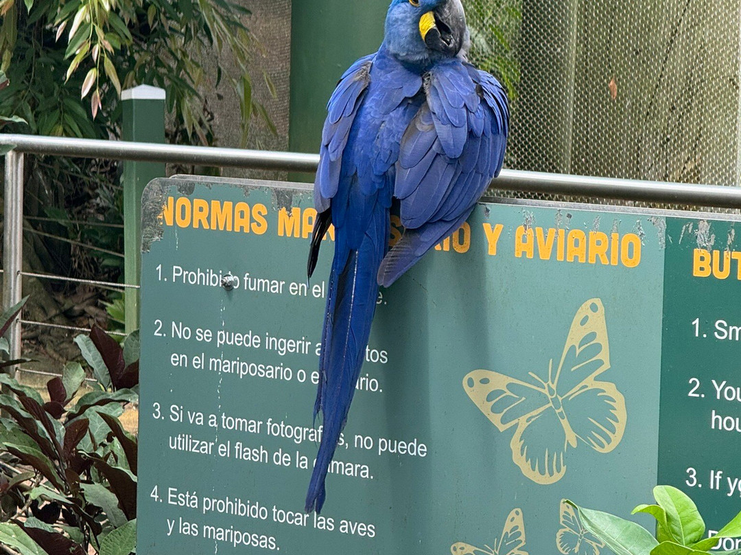 Parque Forestal La Marquesa-Guaynabo必去景点