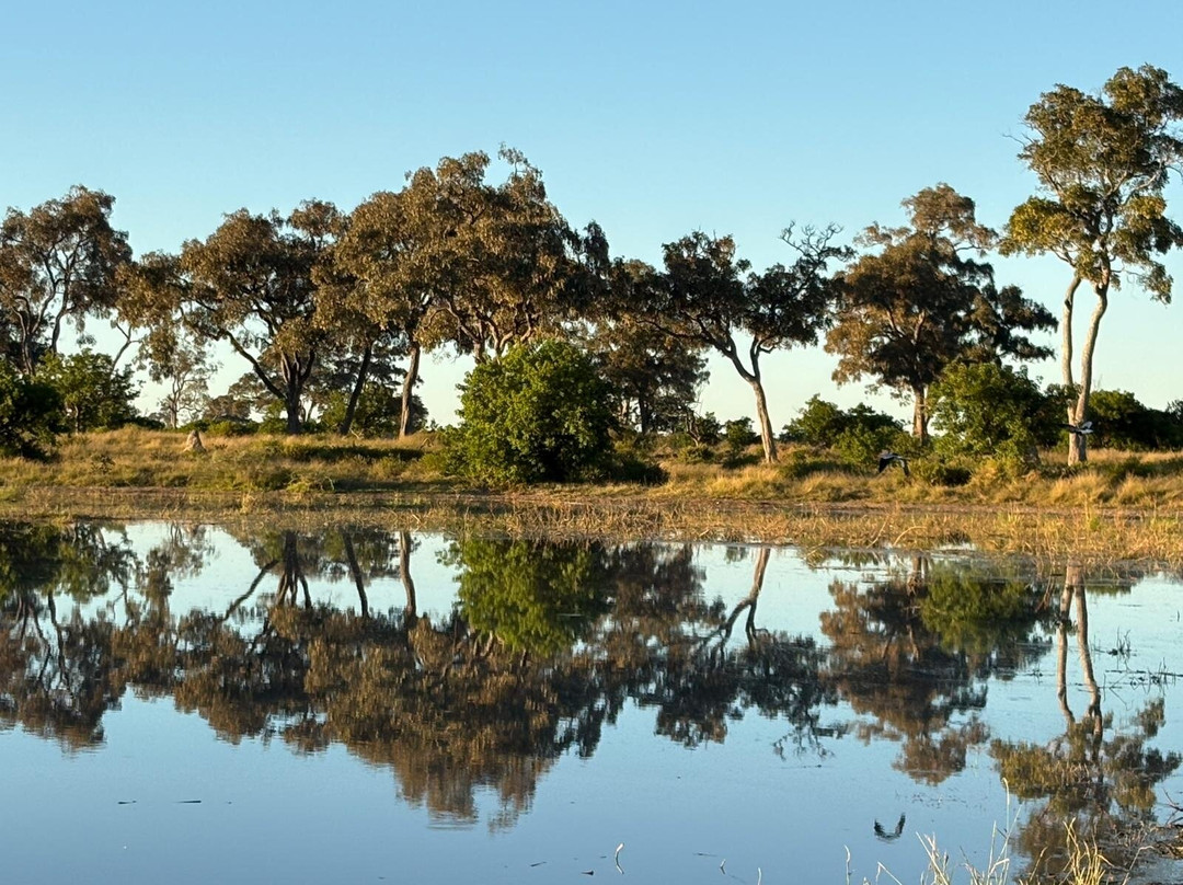 Okavango Delta-马翁必去景点