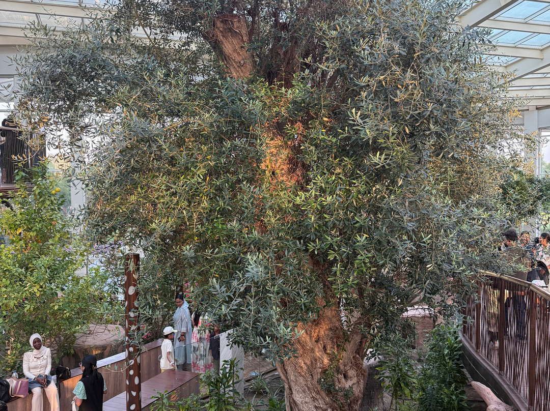 Quranic Park-迪拜必去景点