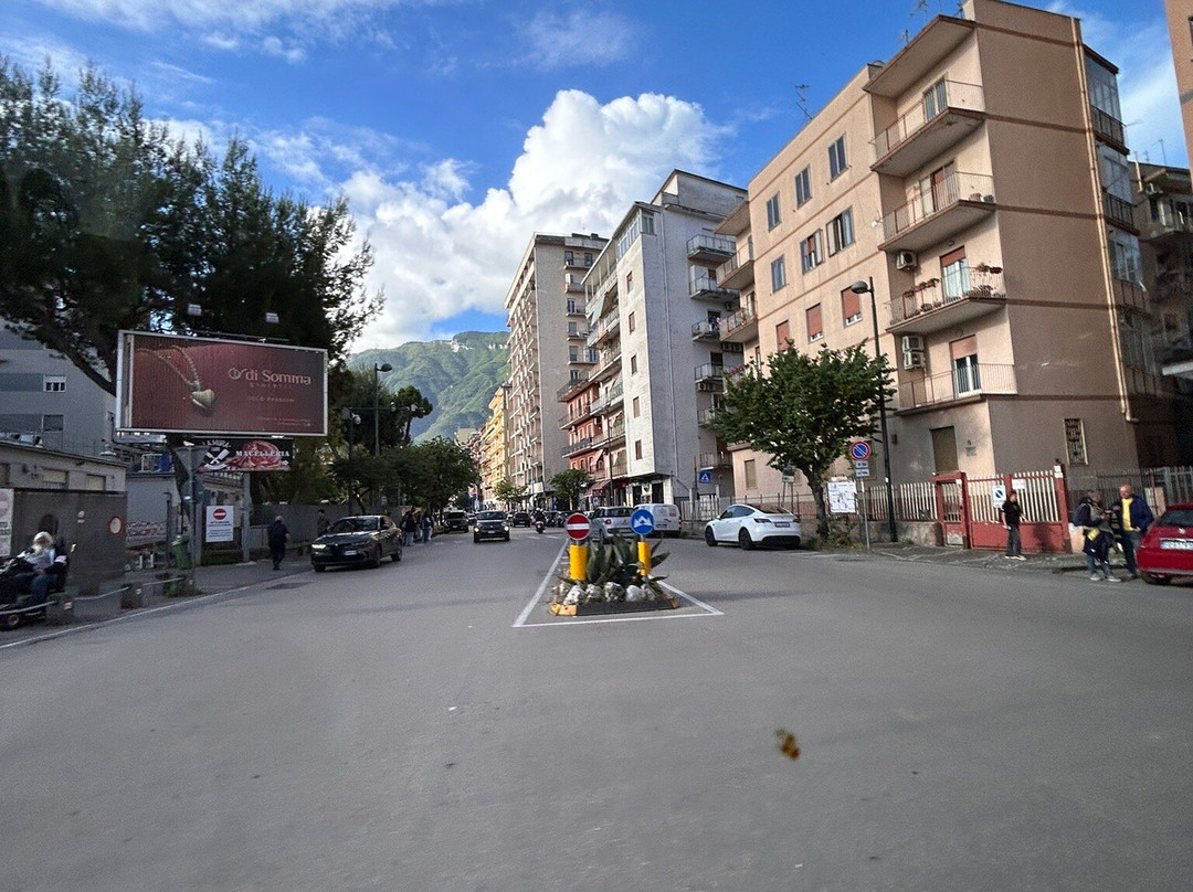 Gikar - Italy Transfers and Tours-那不勒斯必去景点