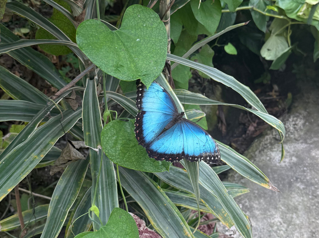 Jardin Botanique du Beau Pays-Marck必去景点
