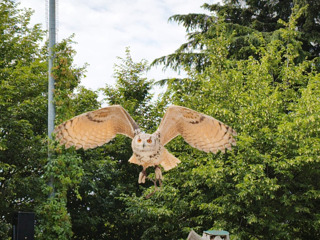 Parco Acrobati del Sole-Cividale del Friuli必去景点