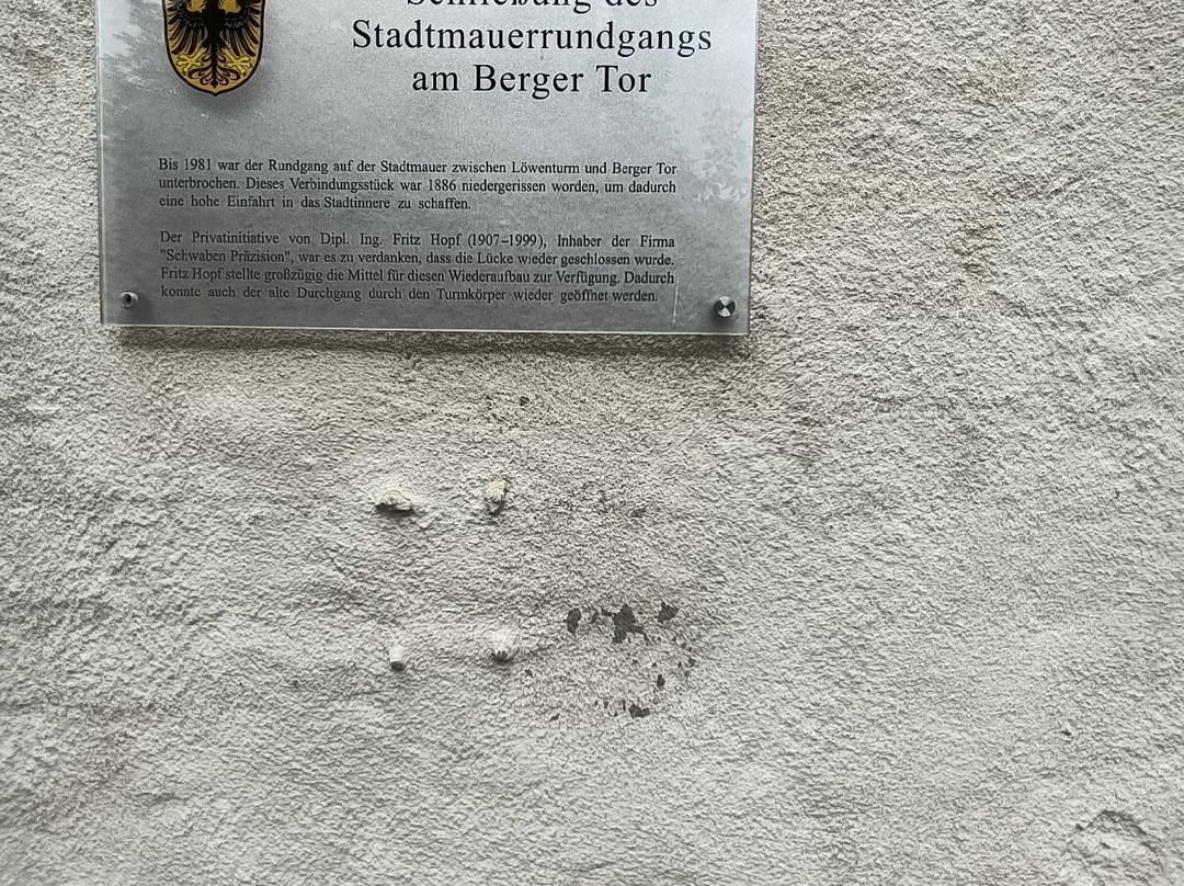 Berger Tor-讷德林根必去景点