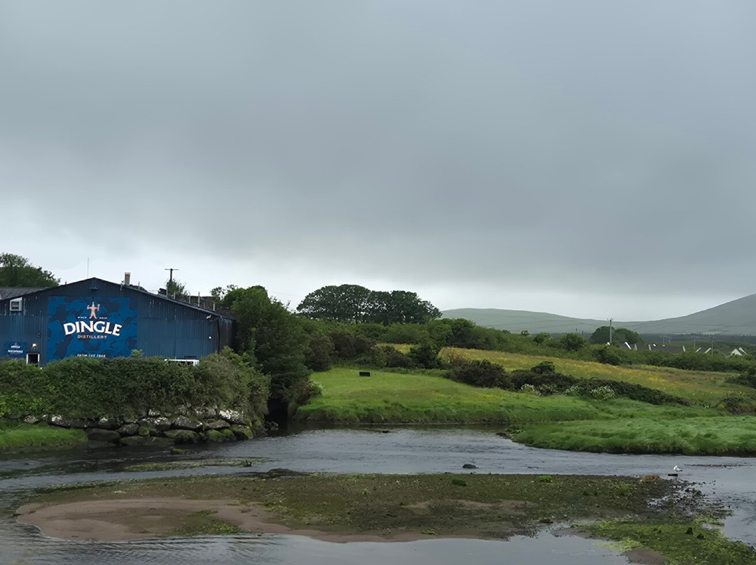 Dingle Distillery-丁格尔必去景点