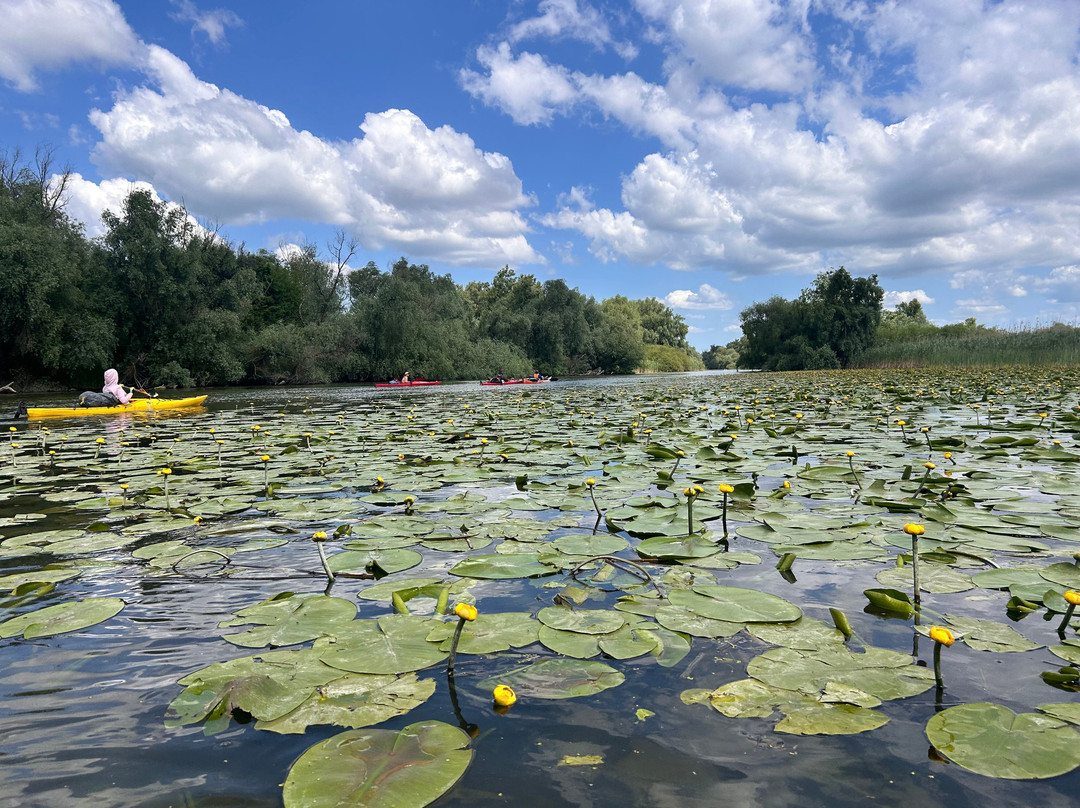 Danube Delta Kayaking tours & Camping (Mila 23)-Mila 23必去景点