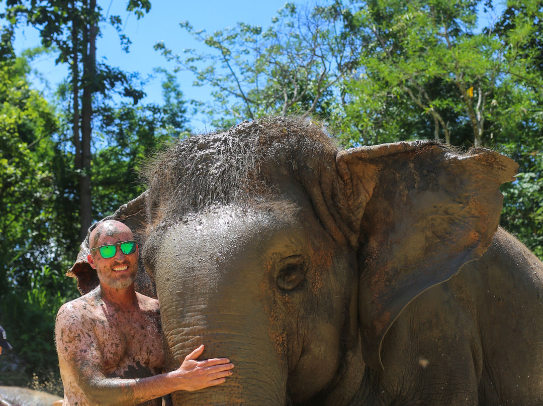 Maerim Elephant Sanctuary-夜林必去景点