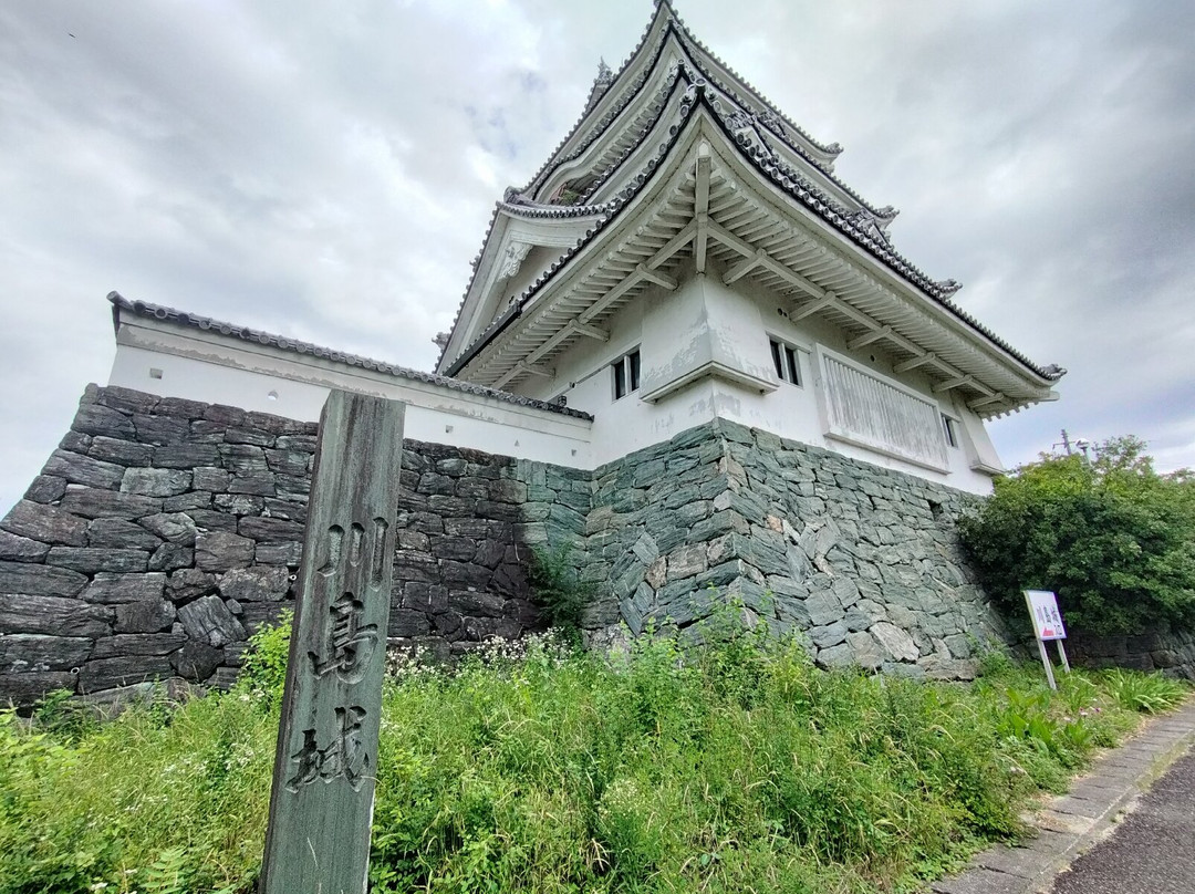 Kawashima Castle-吉野川市必去景点