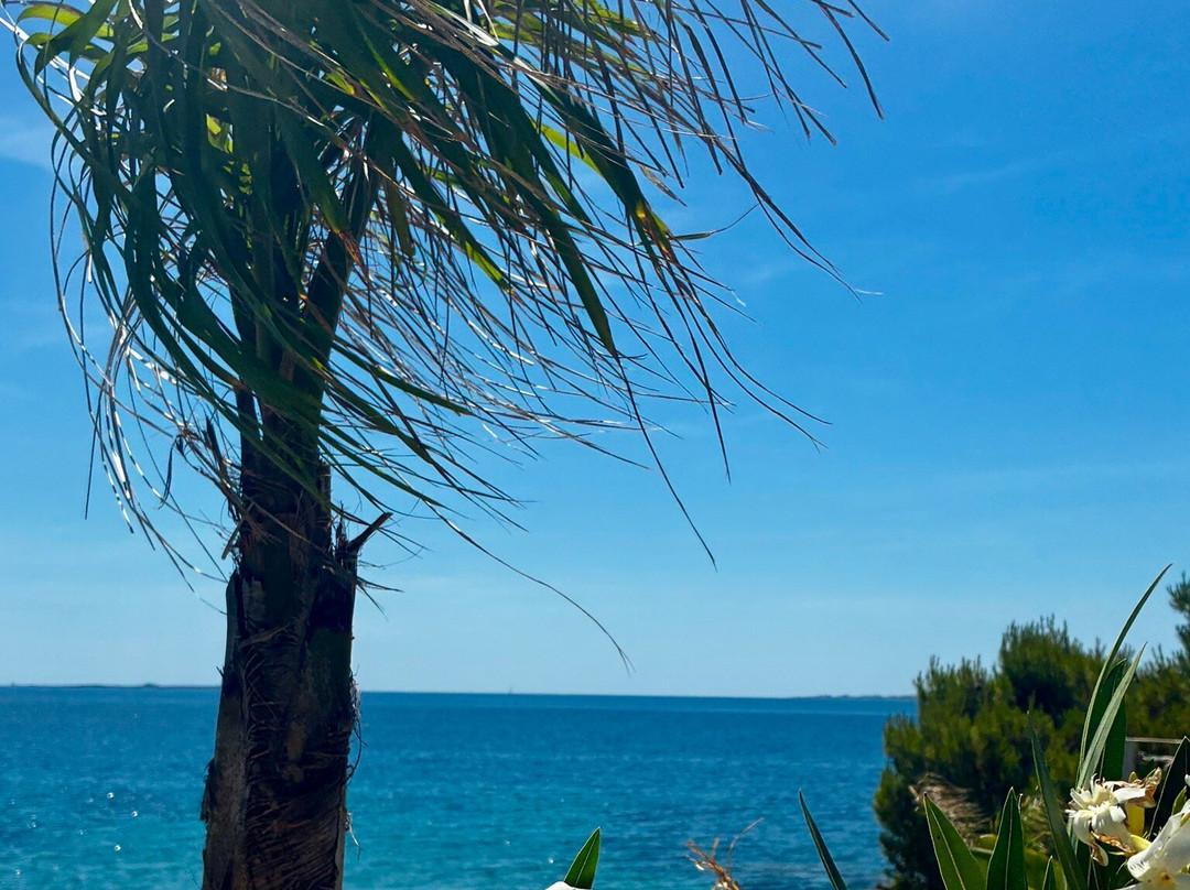 Gradakia Beach-Lassi必去景点