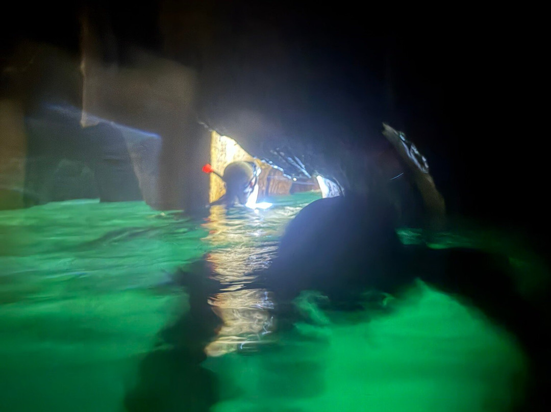 Sawa-I-Lau Caves-亚萨瓦群岛必去景点