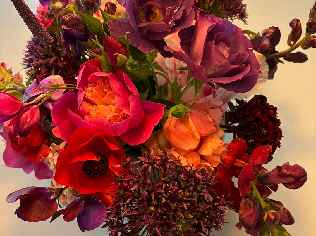 Snijbloemen Pluktuin Bakkum-Egmond-Binnen必去景点
