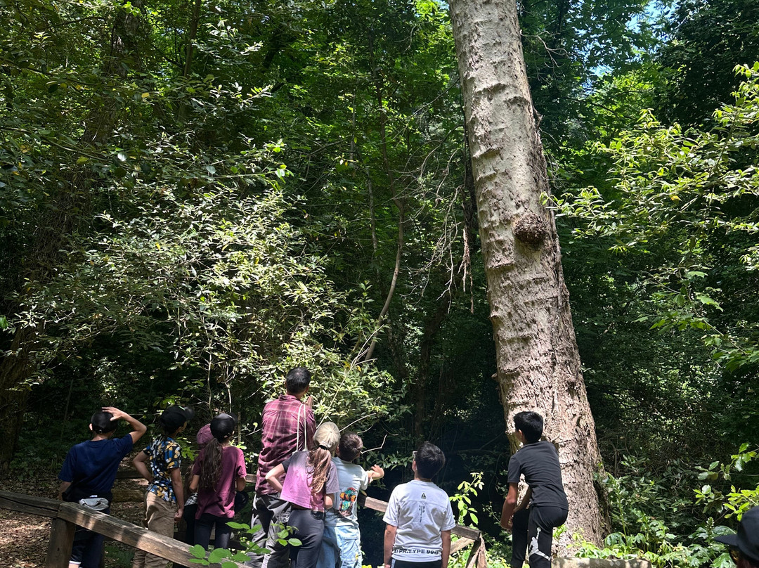 Associazione Culturale De Lacòn - Visite Guidate-Laconi必去景点