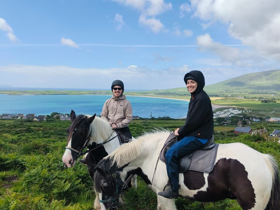 Long's Horse Riding-Ventry必去景点