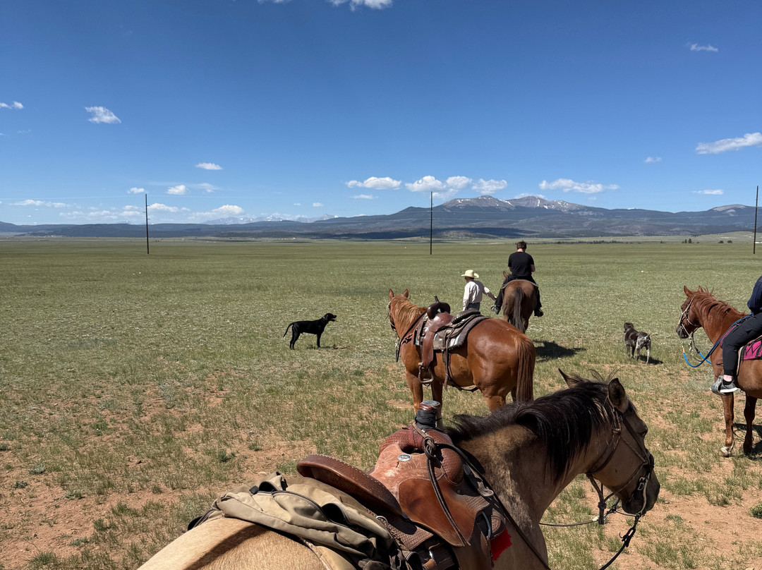 Platte Ranch Riding Stables-Fairplay必去景点