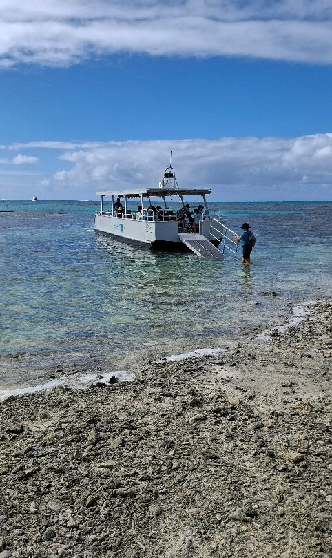 Lady Musgrave Experience - Reef Tours-Burnett Heads必去景点