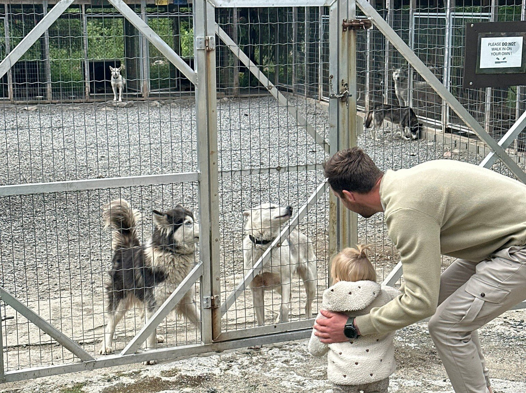 Sirdal Husky Farm-Tonstad必去景点