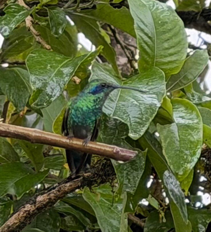 厄尔爱斯达梦泰恩酒店主图