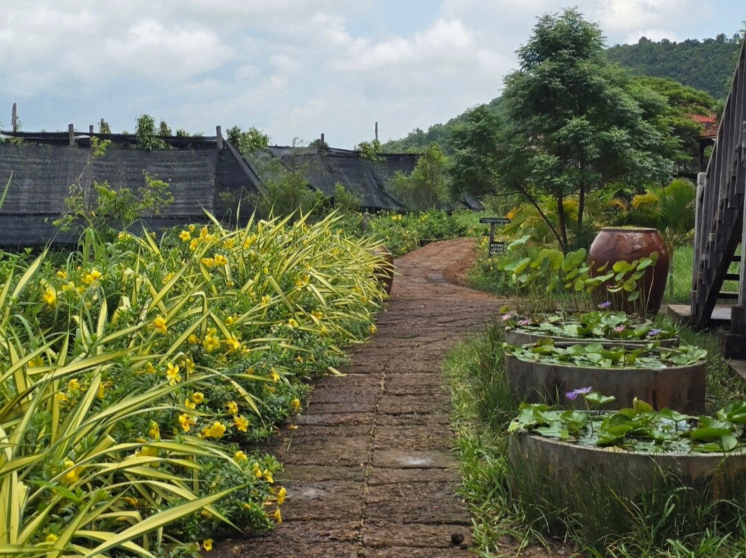 胡椒种植园-贡布必去景点