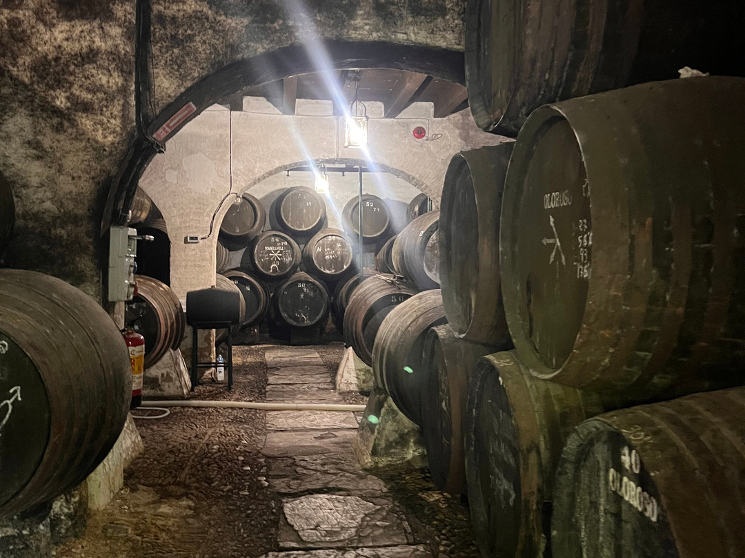 Bodegas Baron-Sanlucar de Barrameda必去景点