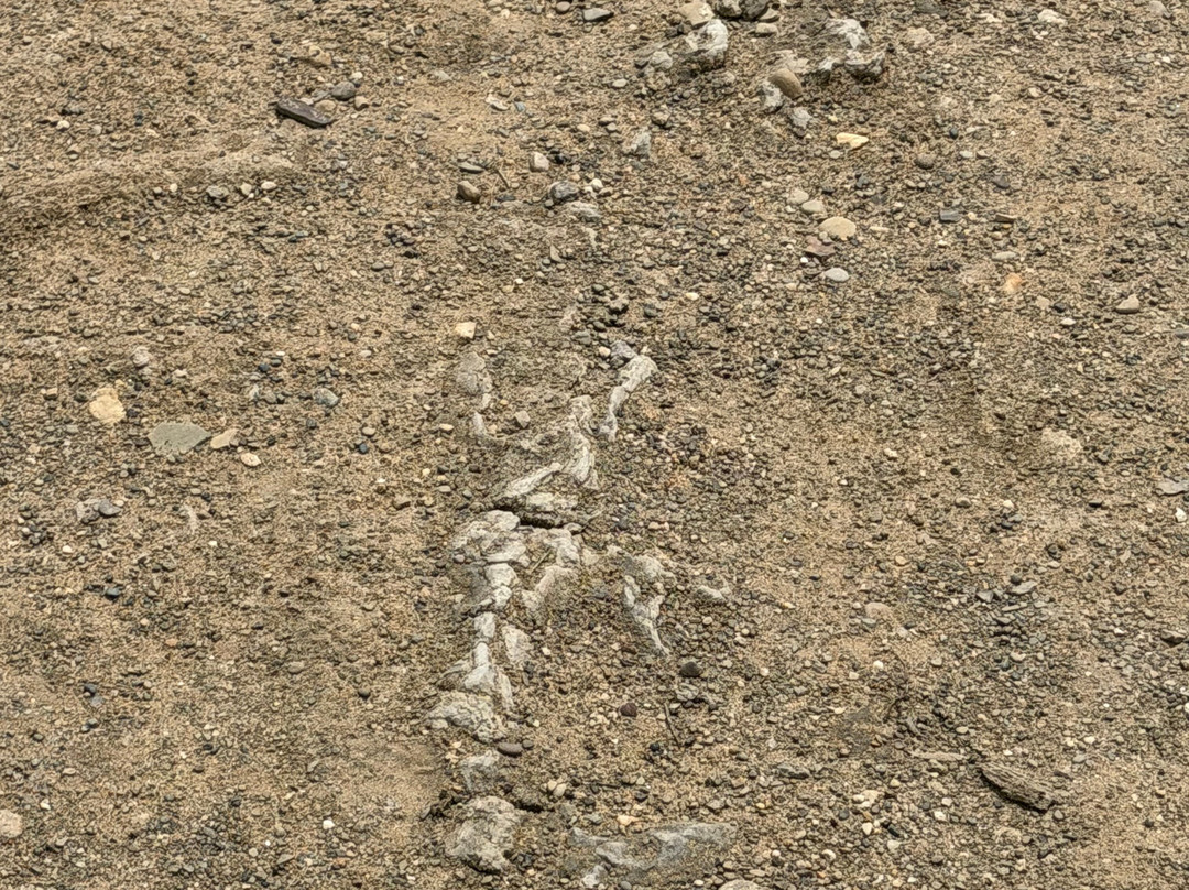 Dillon State Park-Nashport必去景点