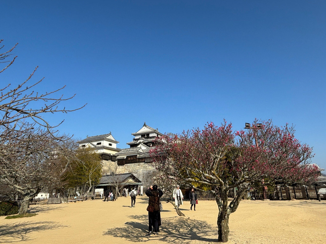 松山城-松山市必去景点