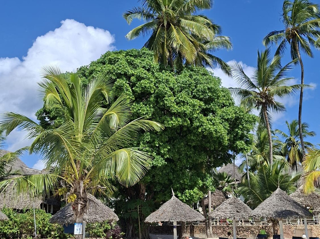 Paradise Beach Resort & Spa主图