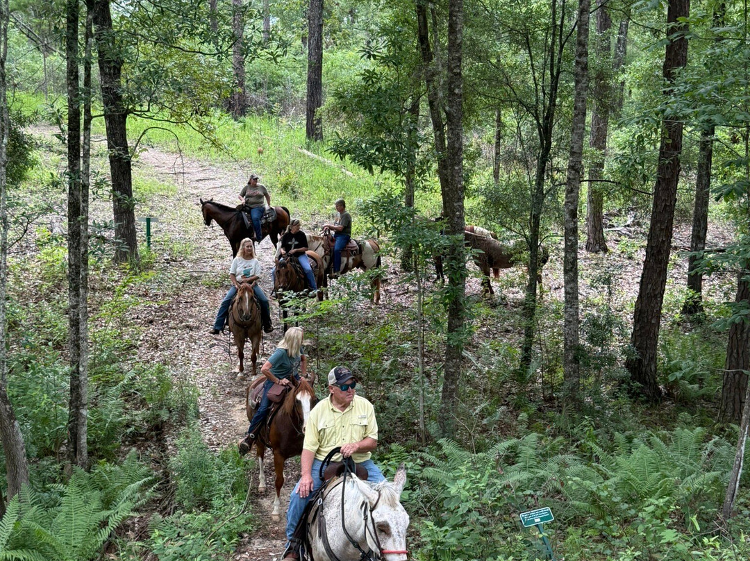 Historic Blakeley State Park-Spanish Fort必去景点