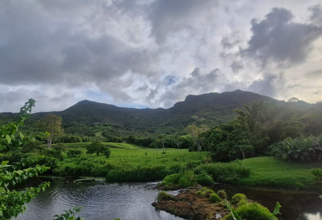 Domaine de l'Etoile-Sebastopol必去景点