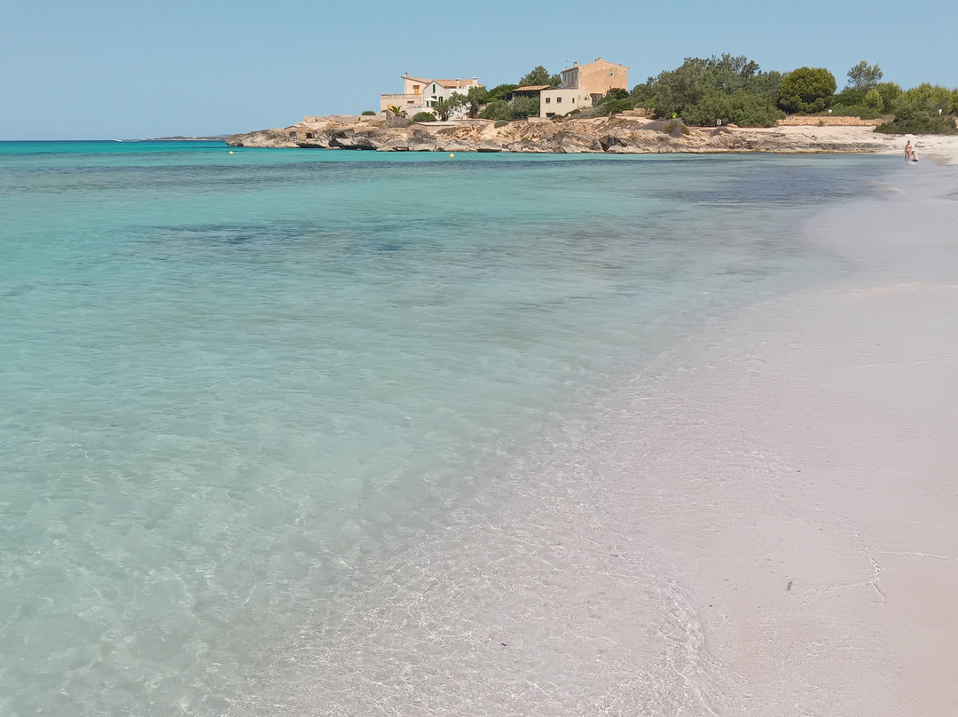 Platja d'es Trenc-Campos必去景点