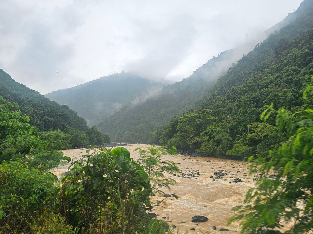 Escape Trekking Adventures-尼尔森湾必去景点