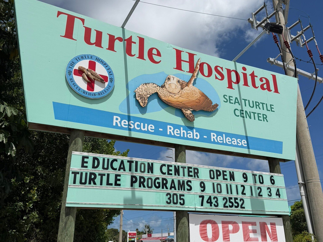 The Turtle Hospital-马拉松必去景点