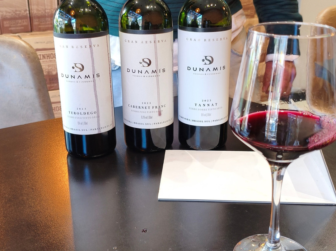 Loja - Dunamis Vinhos & Vinhedos-格拉玛多必去景点