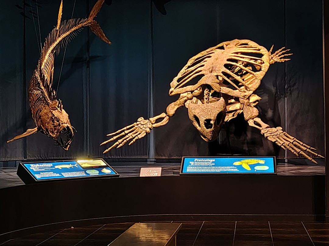 Tellus Science Museum-Cartersville必去景点
