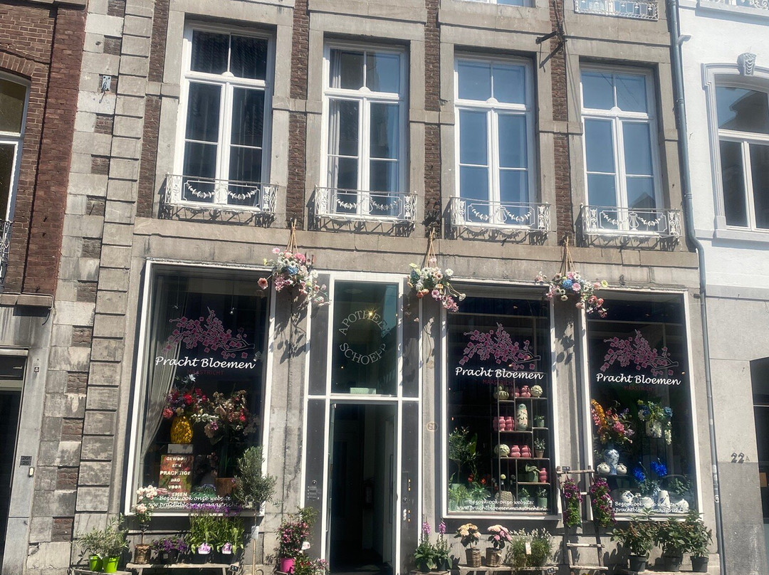 Leonardo Boutique Hotel Maastricht City Center主图