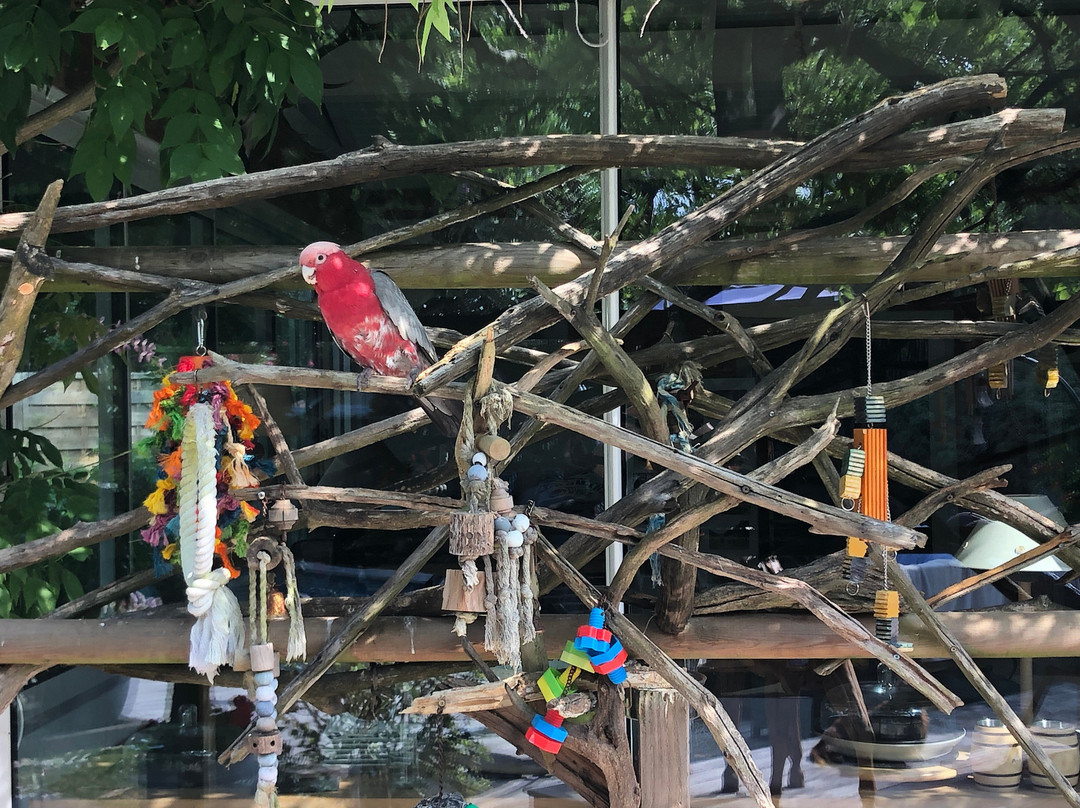克洛斯罗马兰住宿加早餐旅馆主图