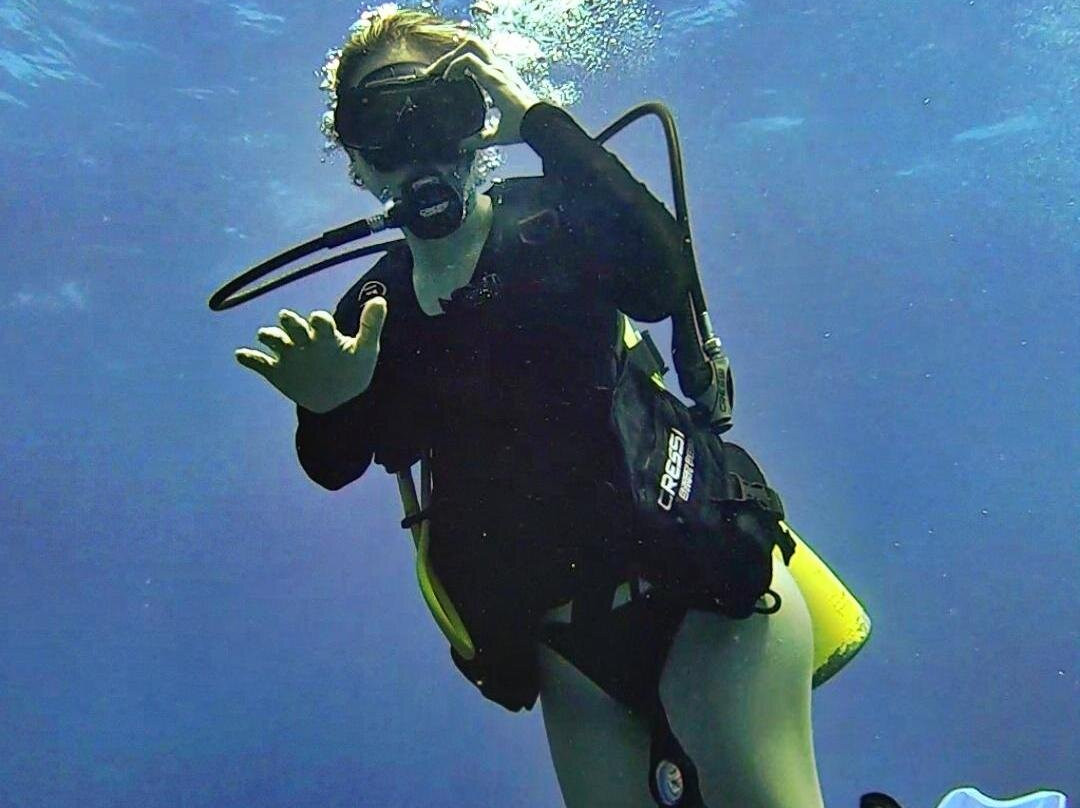 Sealion Dive Center-Los Mochis必去景点