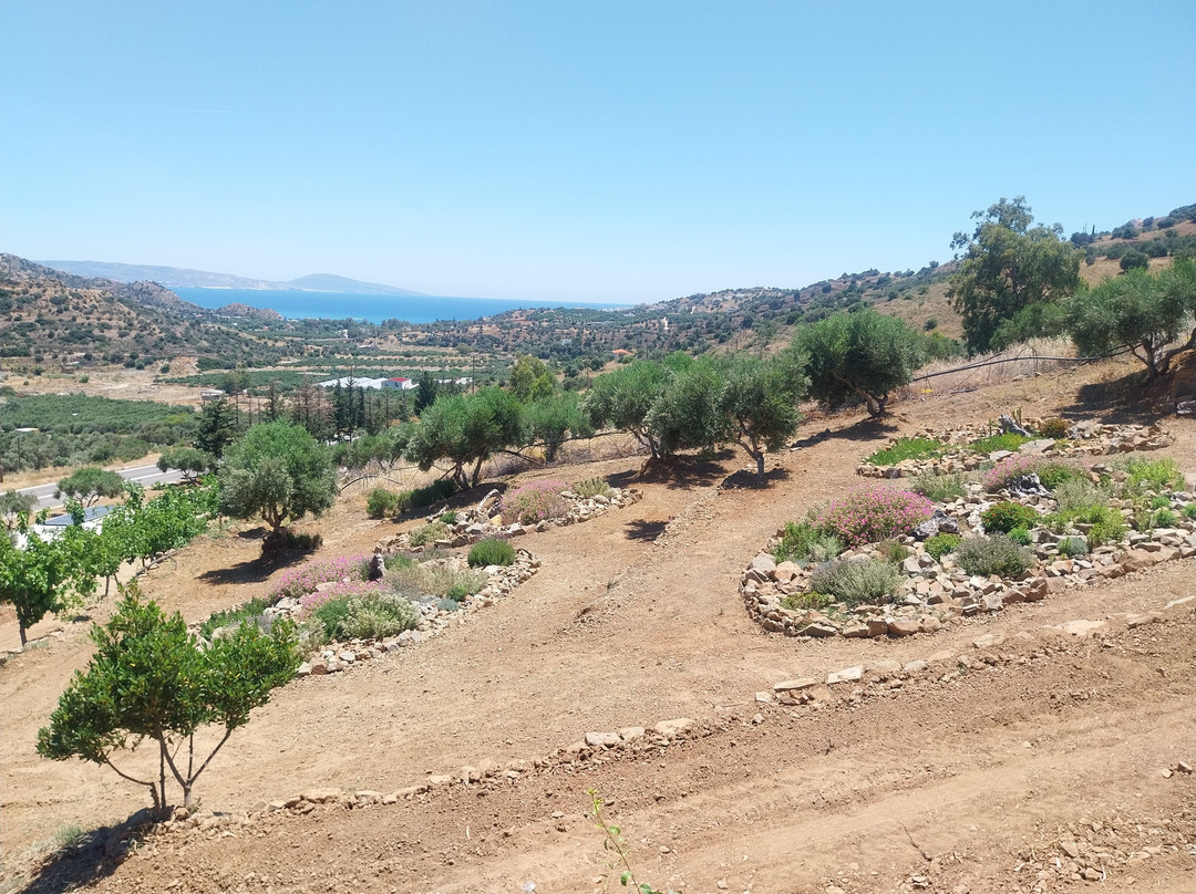 Botaniá - Mediterranean Herb Farm & Experiences-Agia Galini必去景点