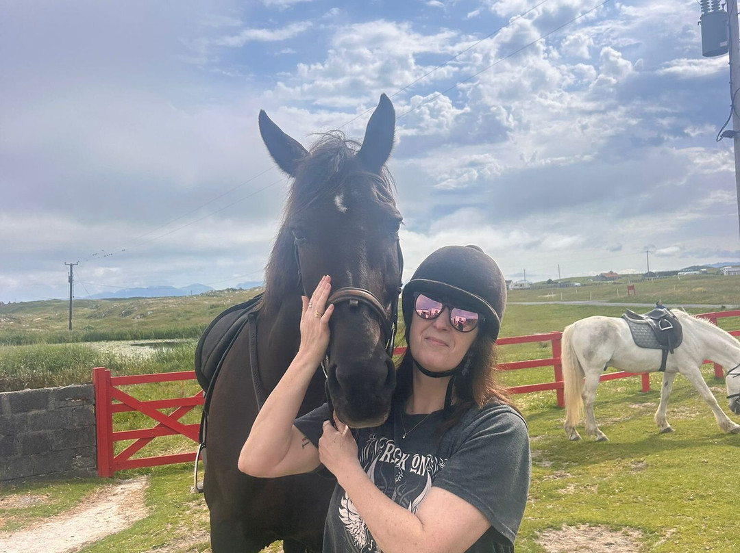 The Point Equestrian Centre and Pony Trekking-Ballyconneely必去景点
