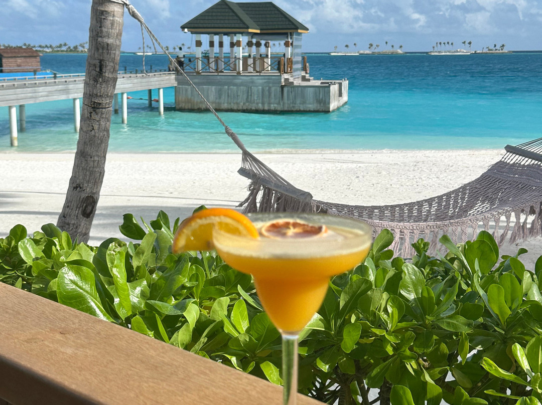 Joy Island Maldives by Cocoon Collection主图