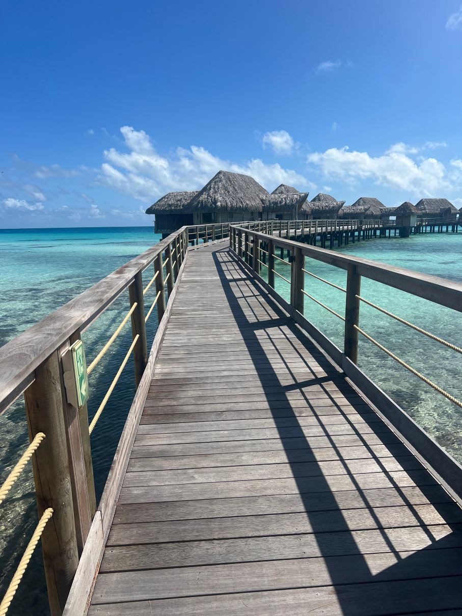 提克豪-珍珠度假村-旅行者