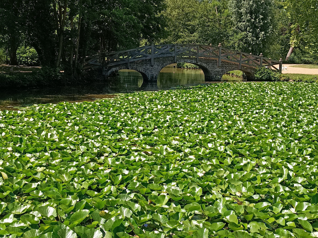 Staunton Country Park-Havant必去景点