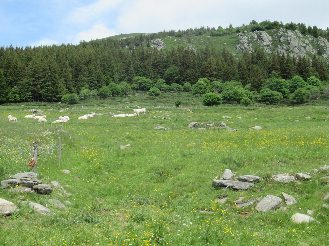Mont d'Alambre