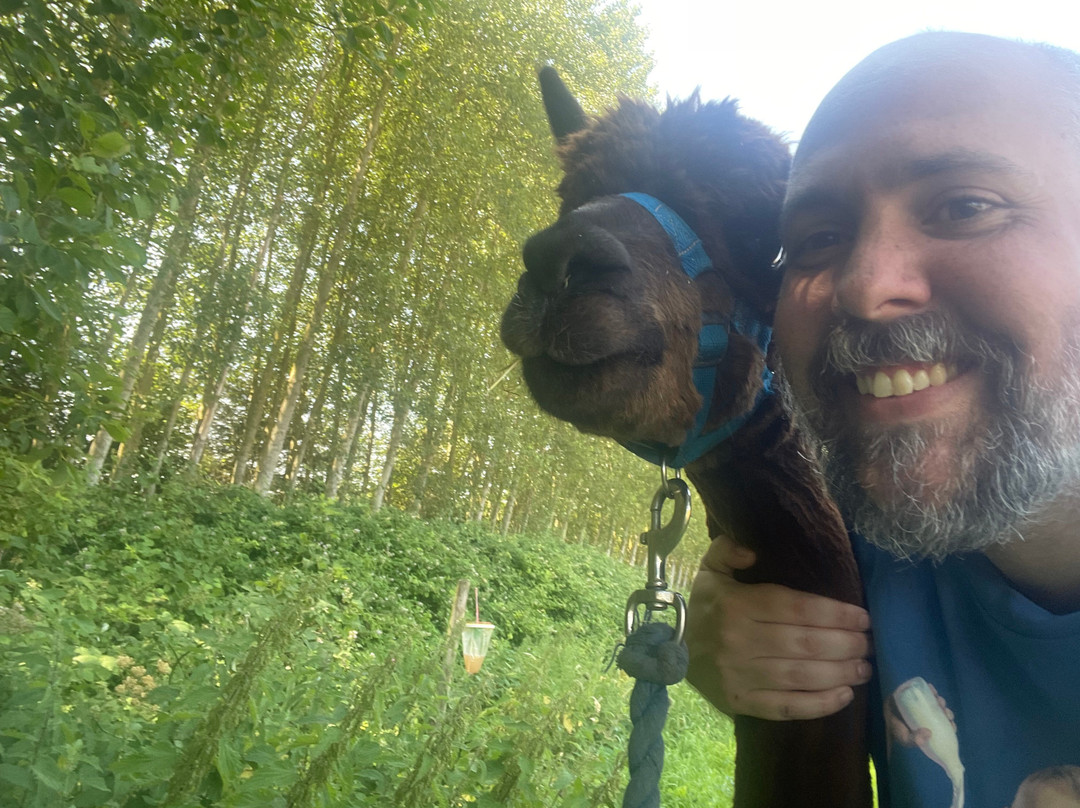 Big Sky Alpacas-Alford必去景点