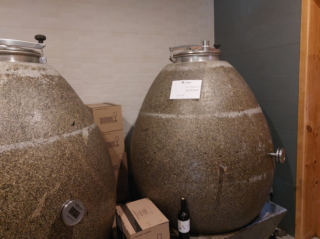 CELLER MAS GELI-帕尔斯必去景点