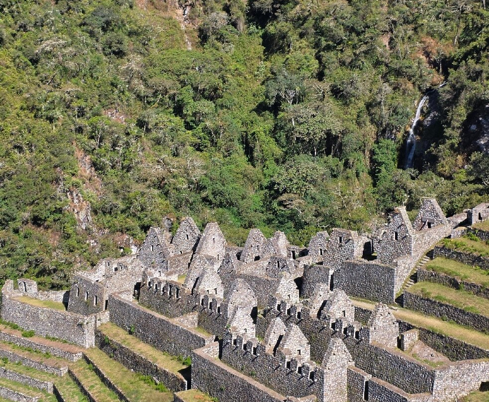 Alpaca Expeditions-库斯科必去景点