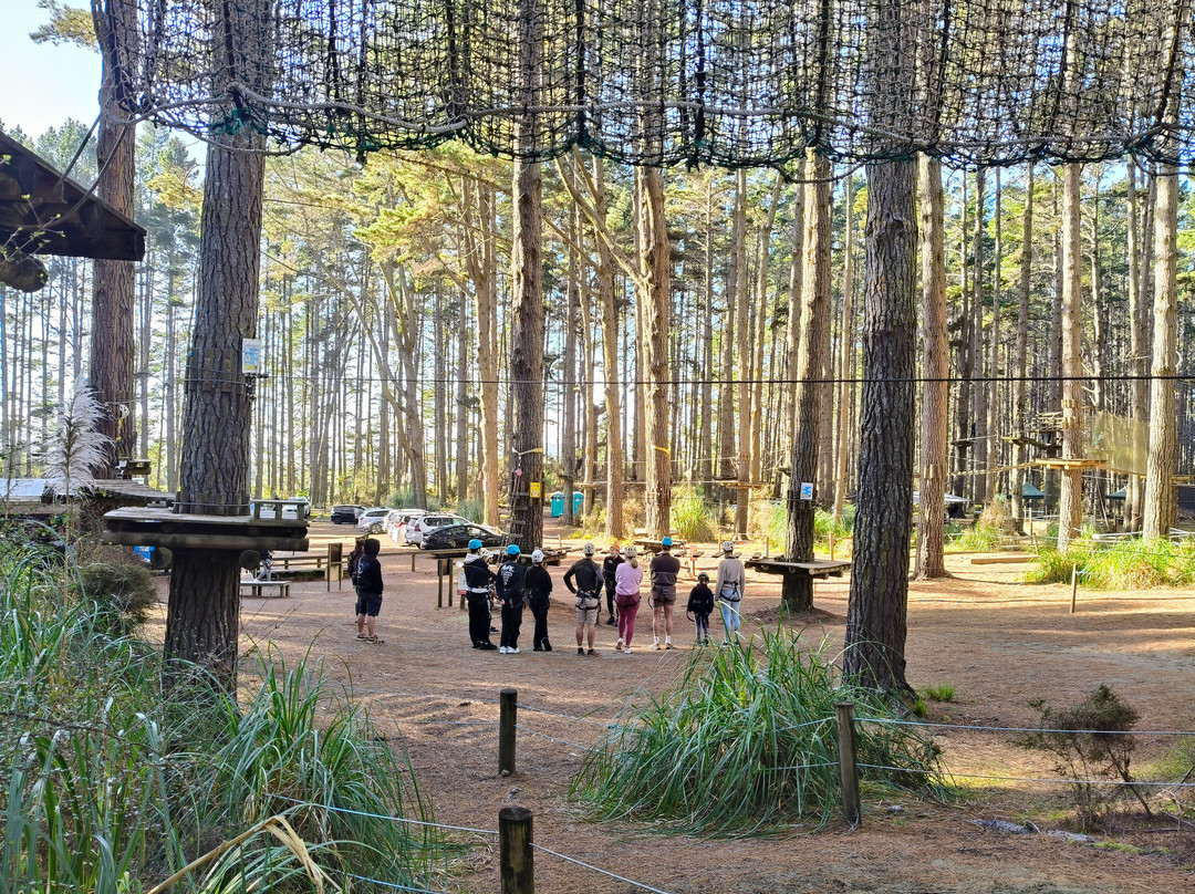 Tree Adventures-伍德山必去景点