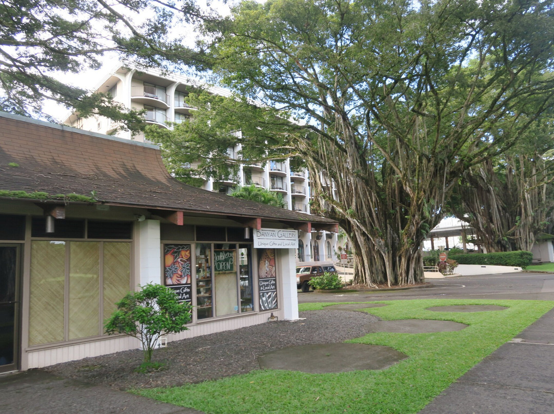 Banyan Gallery-希洛必去景点