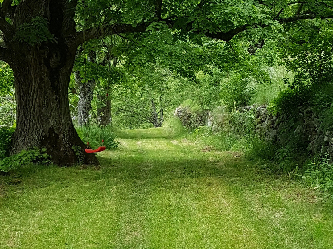 Chasteuil Vacation Rentals  • The Little Château of Chasteuil • Studio • Bed and Breakfast